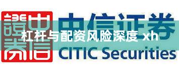 杠杆与配资风险深度 xh