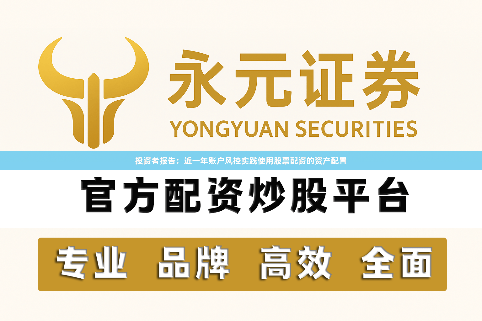 投资者报告：近一年账户风控实践使用股票配资的资产配置