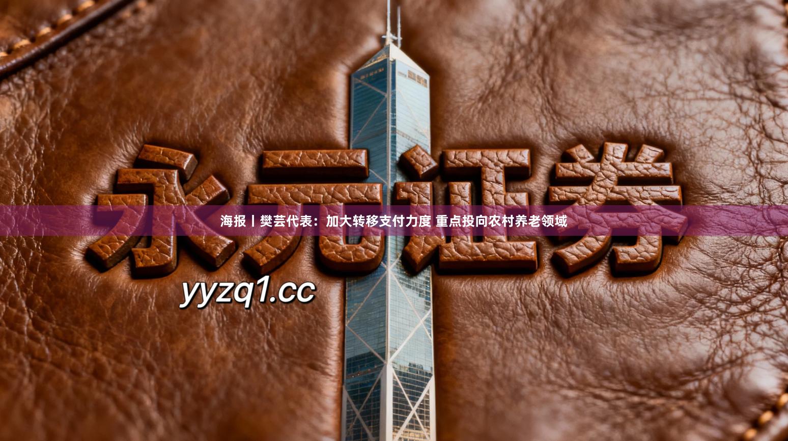 海报丨樊芸代表：加大转移支付力度 重点投向农村养老领域